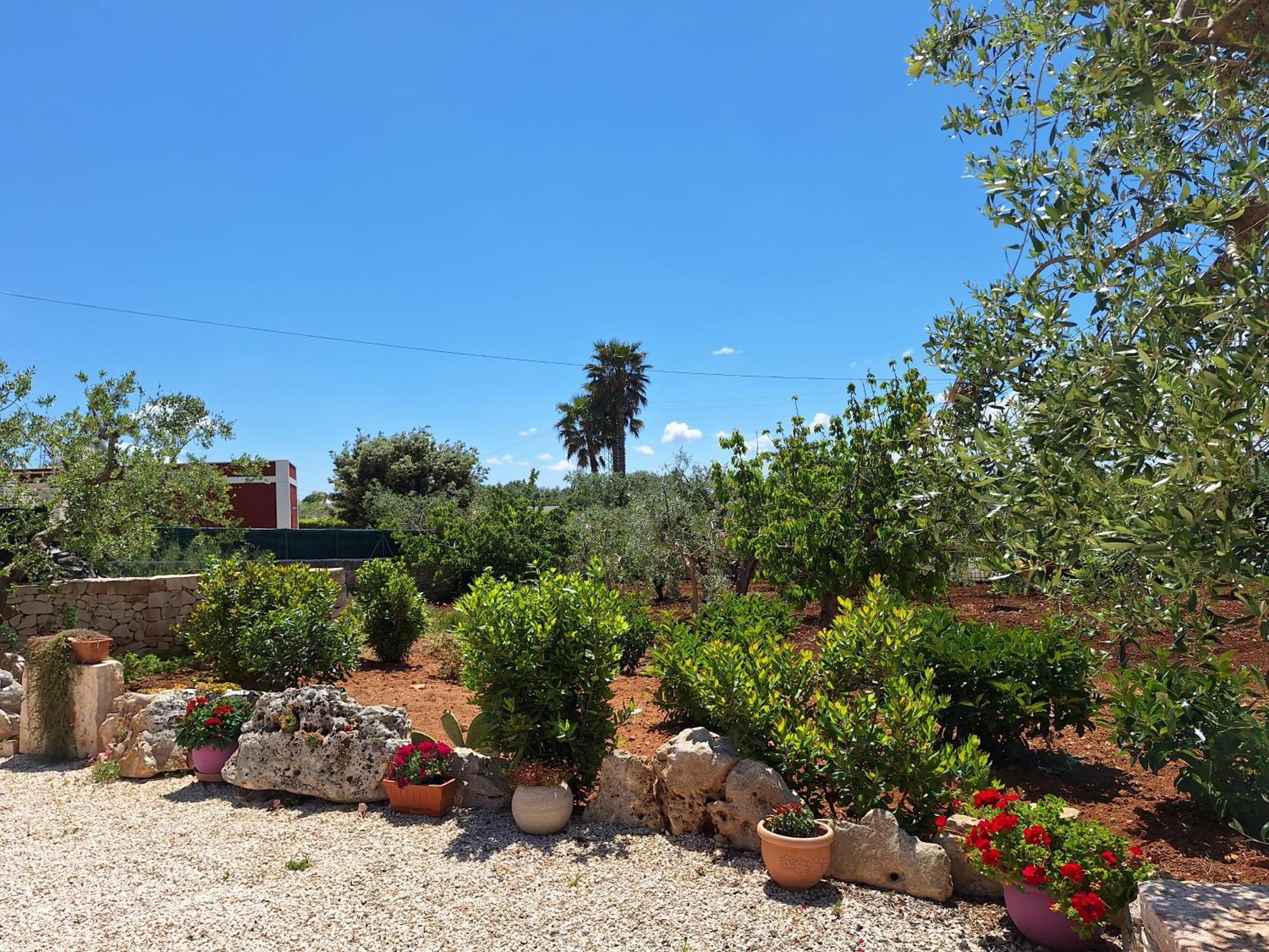 Baciati Dal Sole Apartamento Martina Franca Exterior foto